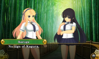 Senran Kagura 2: Deep Crimson Co-Op Character Entrances and Victory Poses  (3DS) 