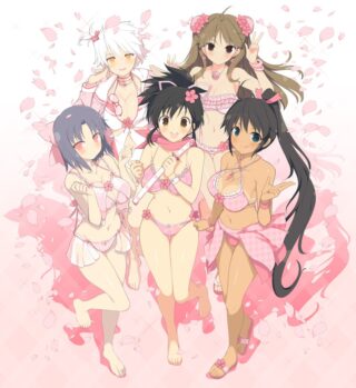 Senran Kagura: Estival Versus Sakura Edition