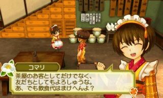 Story of Seasons: Good Friends of Three Villages