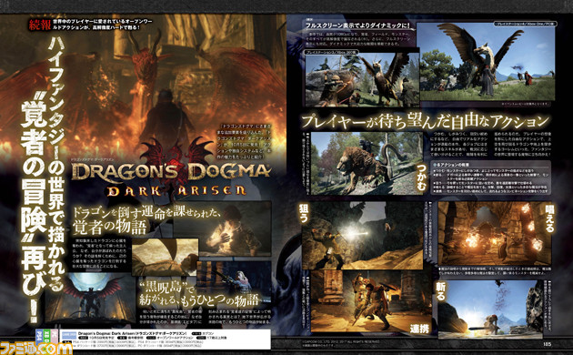  Dragon's Dogma: Dark Arisen - Nintendo Switch : Capcom U S a  Inc: Everything Else