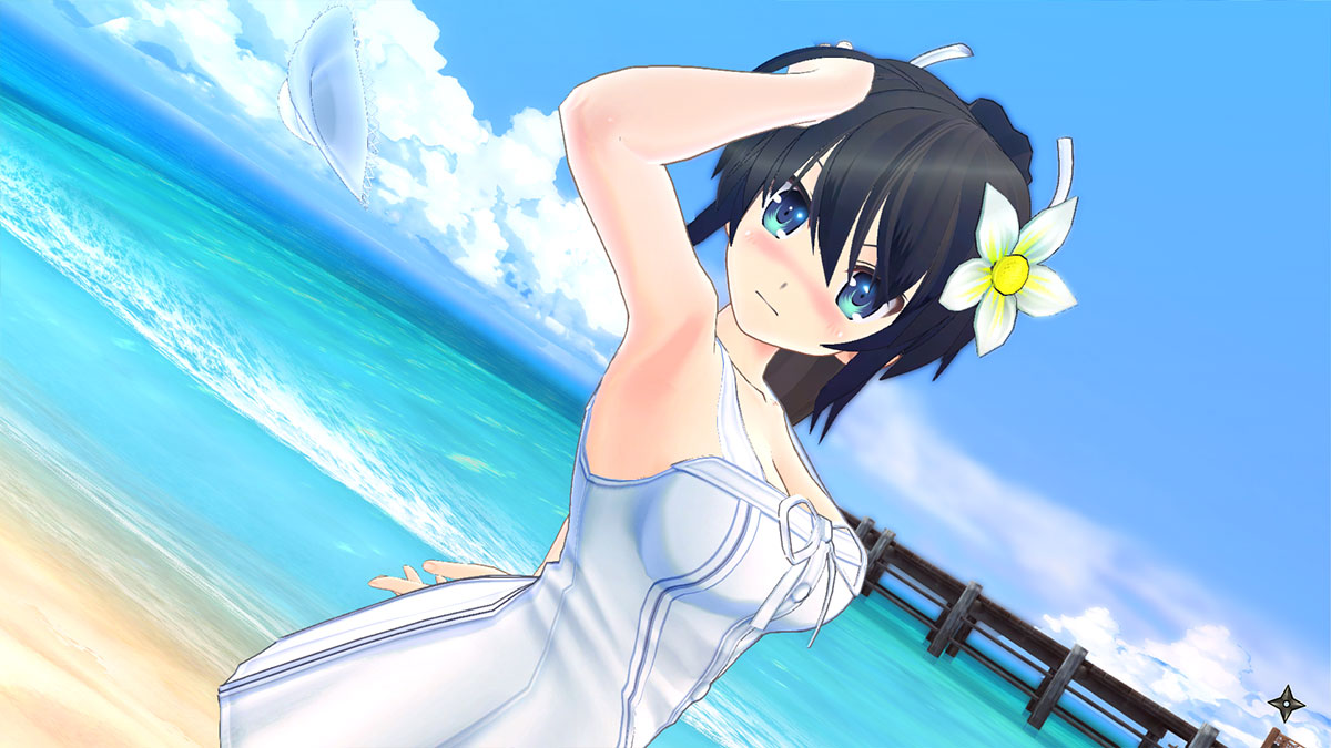 Deza Skin Senran Kagura Burst for Nintendo3DS #3