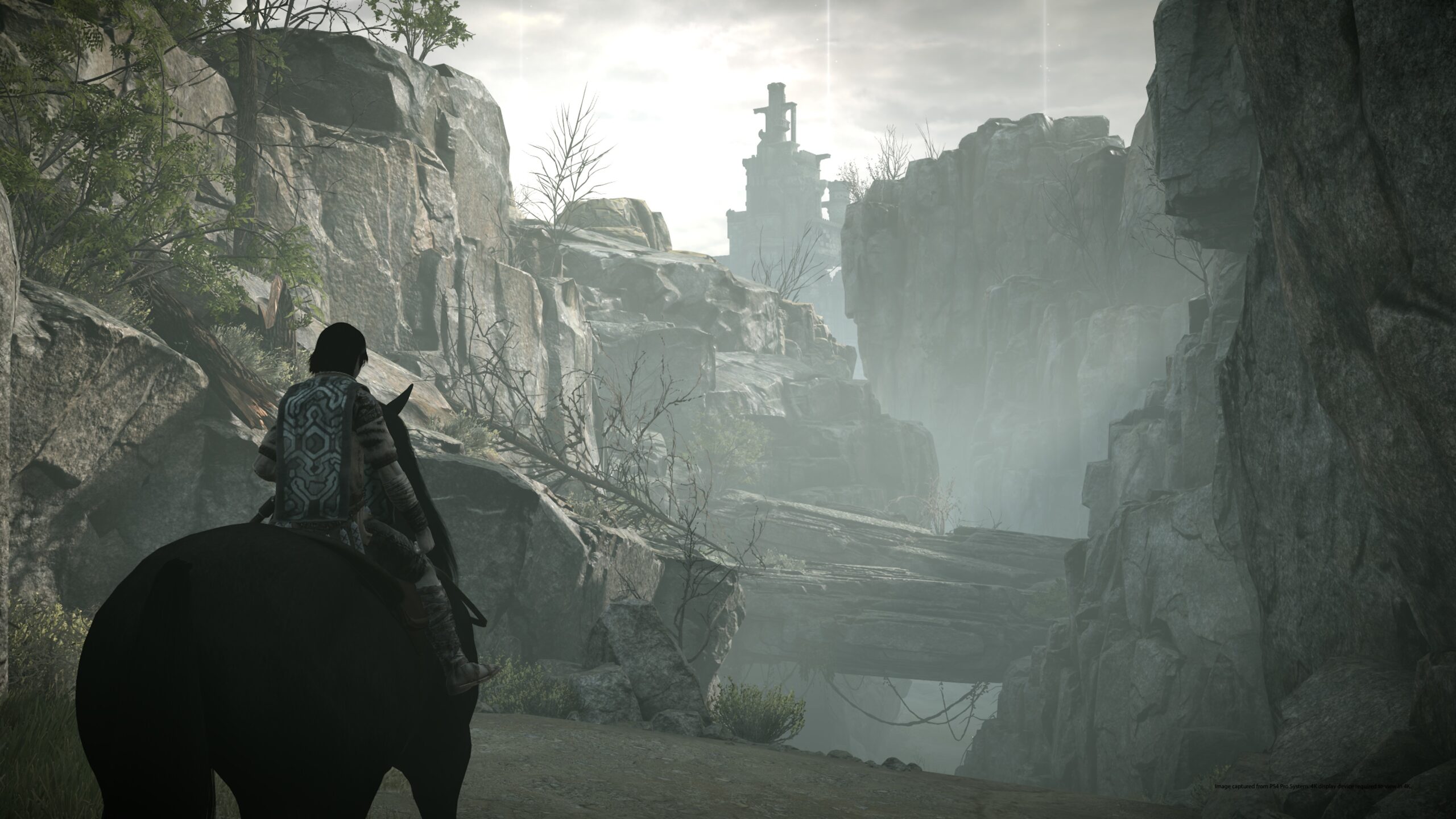  Shadow of the Colossus - PlayStation 4 : Sony Interactive  Entertai: Everything Else