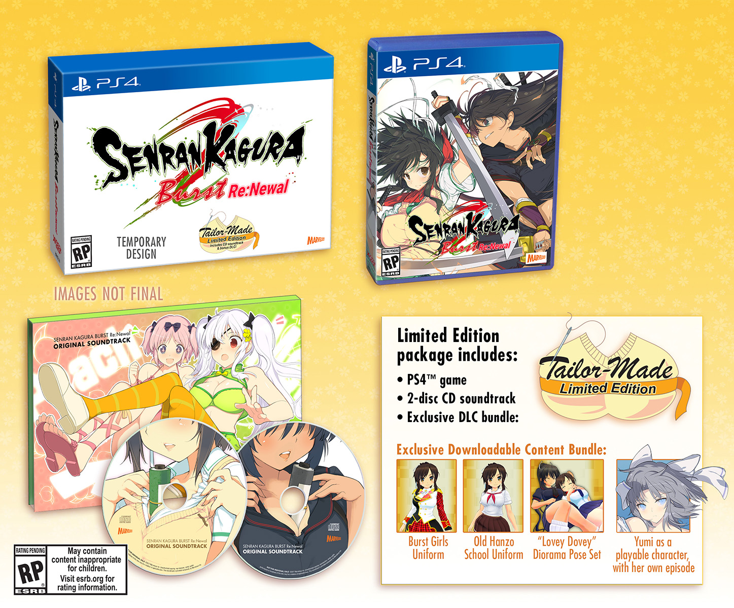 Senran Kagura Burst Heading To Europe February 28 - My Nintendo News