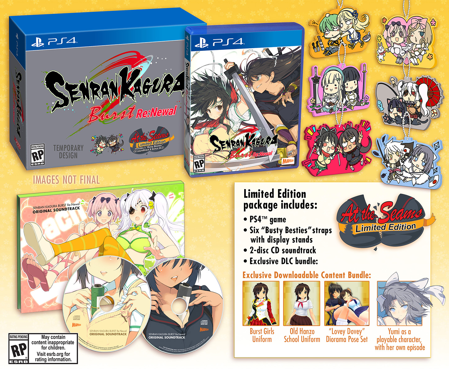 Senran Kagura Burst Re:Newal: The Pairing of Sword and Shield