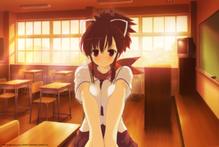 Senran Kagura Reflexions: Ryouna - Metacritic