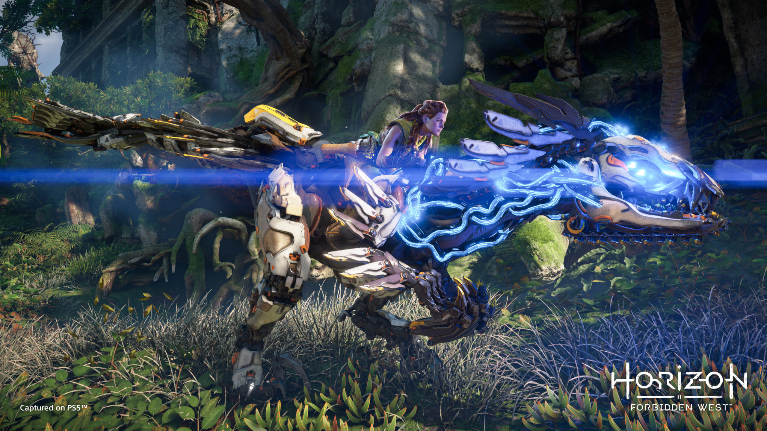 Horizon-Forbidden-West_2021_05-27-21_006