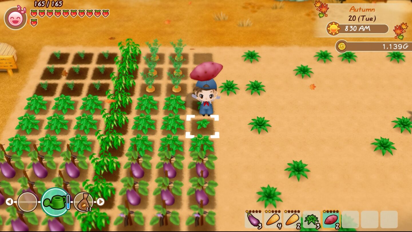 Story of Seasons: Friends of Mineral Town coming to PS4, Xbox One this