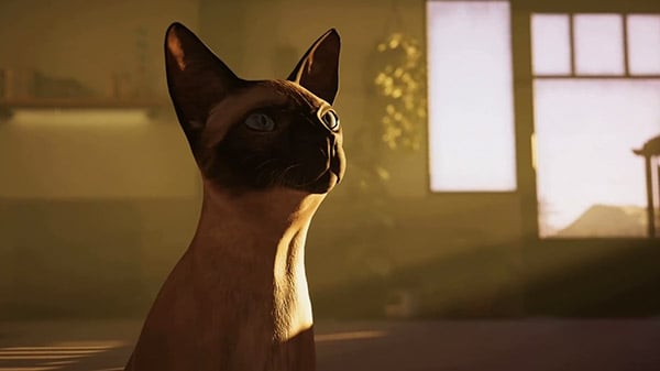 Alfred Hitchcock – Vertigo for consoles delayed to 2022; new trailer – Gematsu