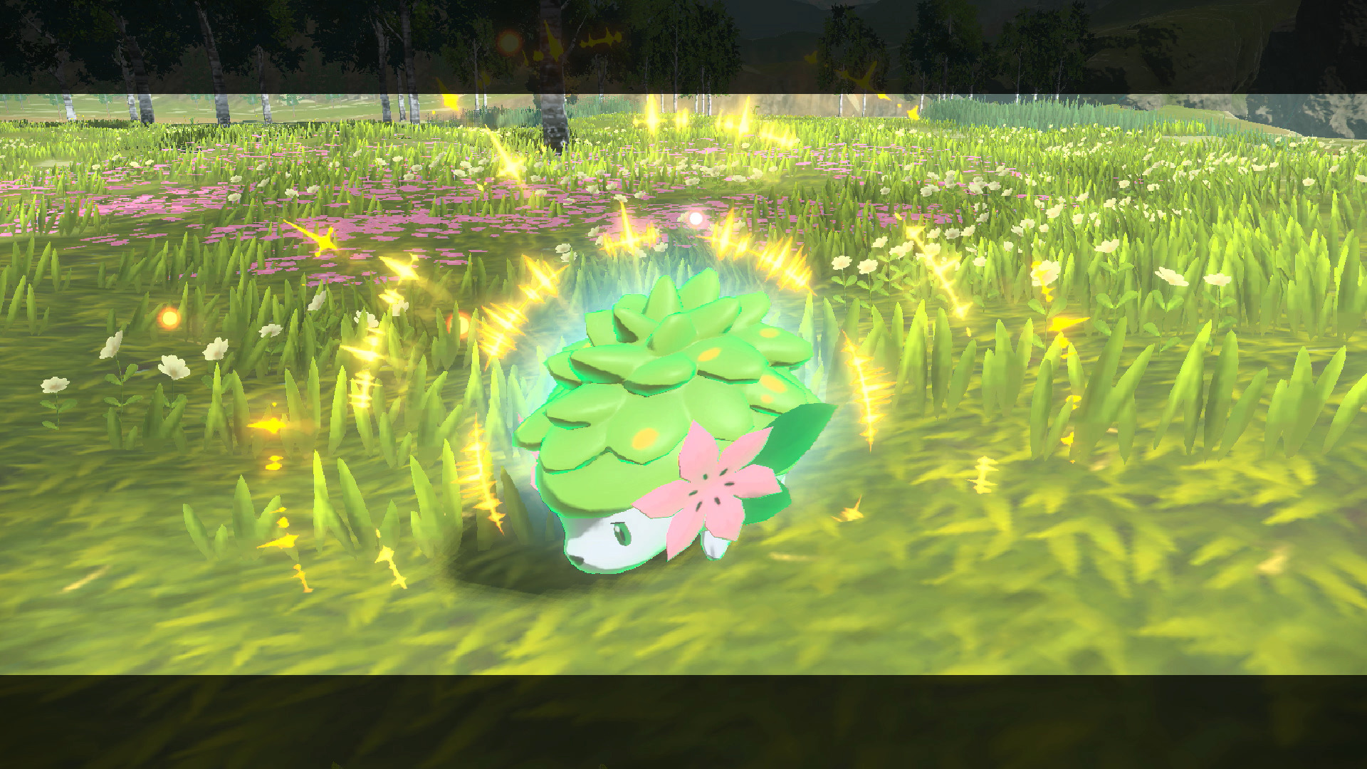 How to get Shaymin and the Shaymin Kimono Set save bonuses in