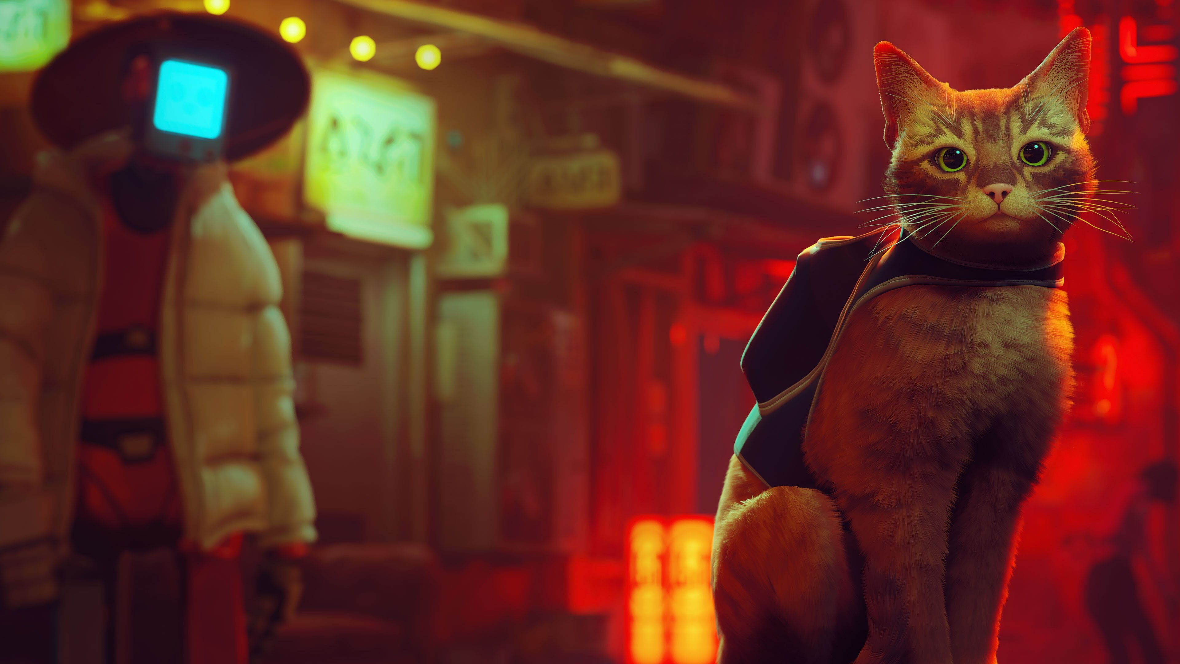 Game-Page-Featured_STRAY.jpg?w=640