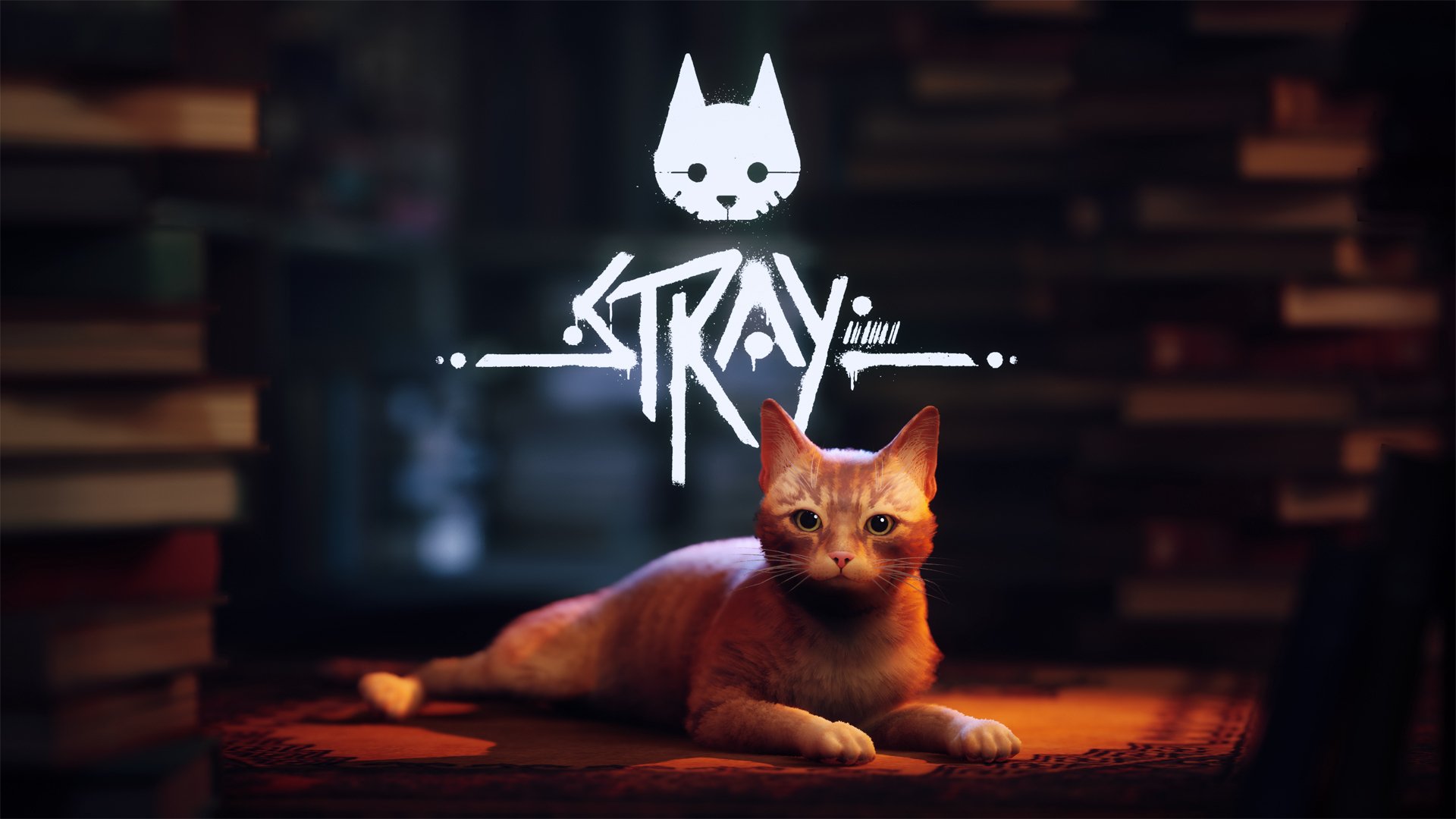 #
      STRAY launches July 19