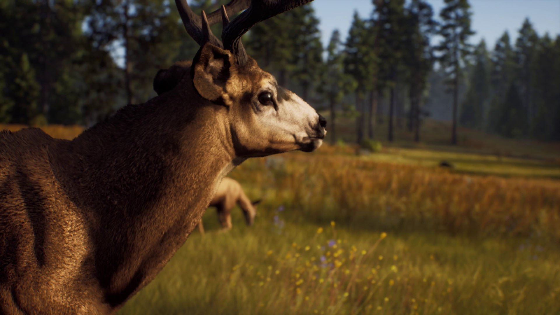 #
      Way of the Hunter launches August 16
