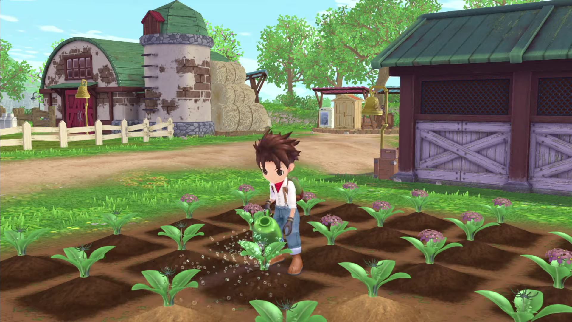 Nintendo Switch Xseed Games Story Of Seasons: A Wonderful Life