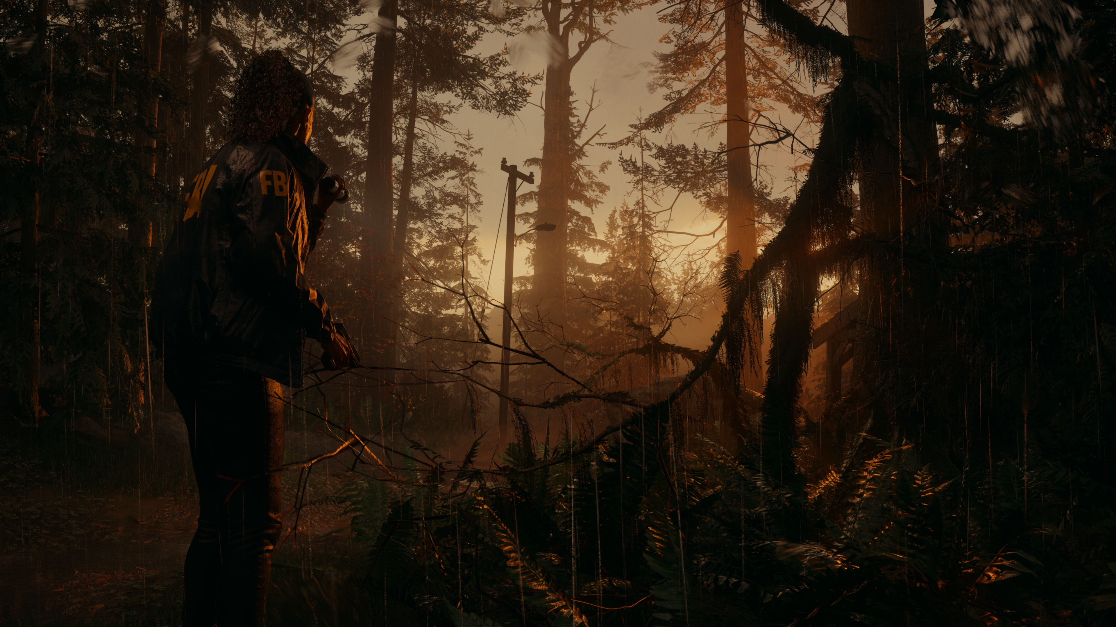 24th May 2023 <br> Alan Wake 2 Launches October 17th 2023