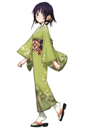 Fate Samurai Remnant