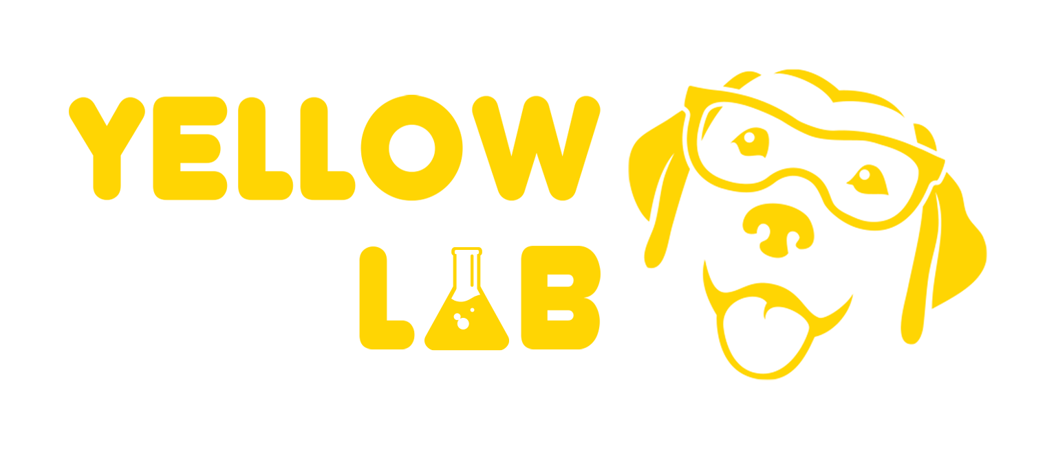 Yellow Lab Games Gematsu