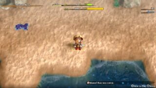 Shiren the Wanderer: The Mystery Dungeon of Serpentcoil Island