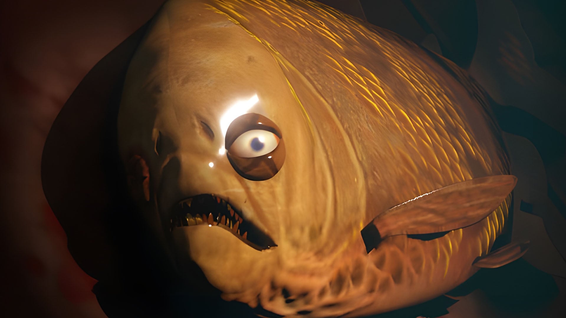 Loan Shark - Gematsu