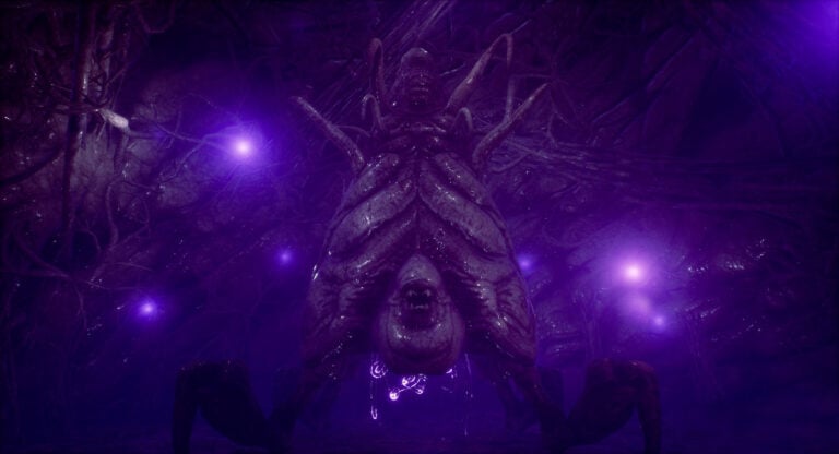 The Shore Enhanced Edition